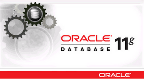 Install Oracle 11 XE on Synology